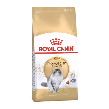 Royal Canin Dry Food Norwegian Forest 2kg Royal Canin Dry Food Norwegian Forest 2kg